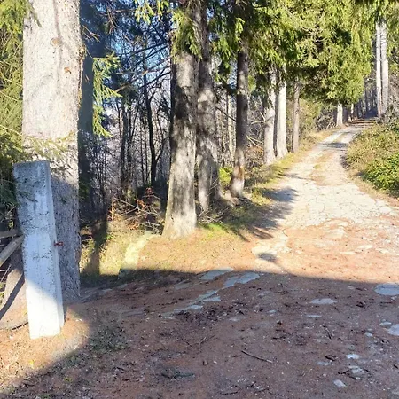 アパート La Mansarda Nel Bosco
